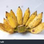 Chuối Pisang Raja hay gọi là Chuối Gòng có thể tìm thấy ở đâu?