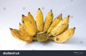 Chuối Pisang Raja hay gọi là Chuối Gòng có thể tìm thấy ở đâu?