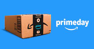 Khám phá các cơ hội ngoài Amazon FBA (ví dụ: tích hợp Shopify, quan hệ đối tác bán buôn)- Chiến lược tăng trưởng và mở rộng kinh doanh – Amazon FBA