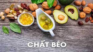 Bạn nên giới hạn lượng chất béo trong khẩu phần ăn